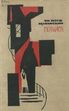 Ян Щепанский Мотылек обложка книги