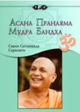 Сатьянанда Асана, пранаяма, мудра, бандха обложка книги