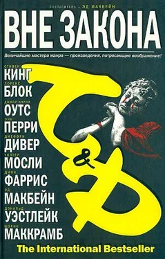 Дональд Уэйстлейк Вне закона обложка книги