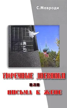 Сергей Мавроди Тюремные дневники, или Письма к жене обложка книги