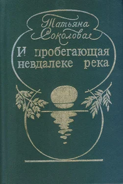 Татьяна Соколова Хождения Черепашки обложка книги