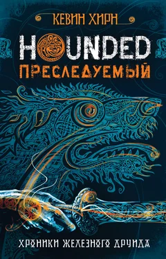 Кевин Херн Преследуемый. Hounded обложка книги