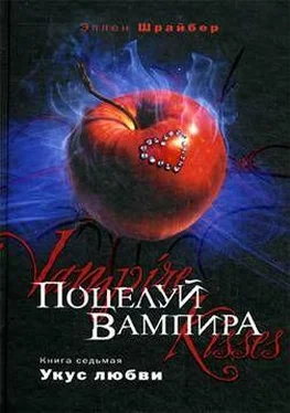 Эллен Шрайбер Укус любви обложка книги