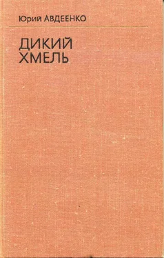 Юрий Авдеенко Дикий хмель обложка книги