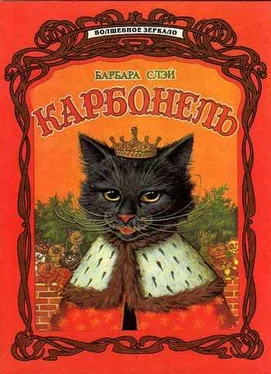 Барбара Слэй Карбонель обложка книги