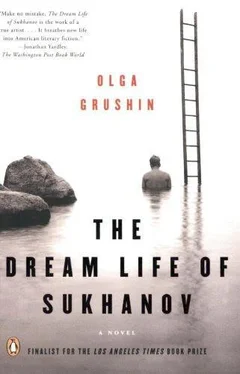 Olga Grushin The Dream Life of Sukhanov обложка книги