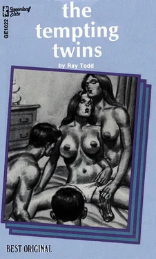 Ray Todd The tempting twins обложка книги