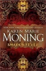 Karen Moning - Shadowfever