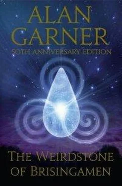 Alan Garner The Weirdstone of Brisingamen обложка книги