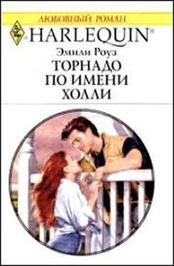 Эмили Роуз Торнадо по имени Холли обложка книги