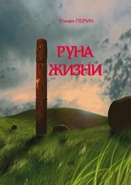 Роман Перин Руна жизни обложка книги