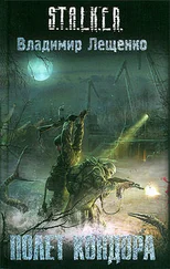 Владимир Лещенко - Полет Кондора