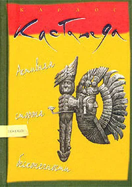 Карлос Кастанеда Активная сторона бесконечности обложка книги