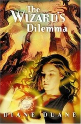 Diane Duane - The Wizard's Dilemma