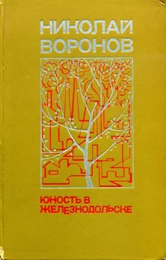 Николай Воронов Юность в Железнодольске обложка книги