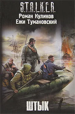 Роман Куликов Штык обложка книги