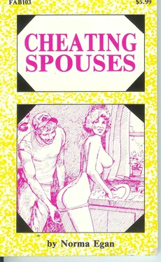 Norma Egan Cheating Spouses обложка книги