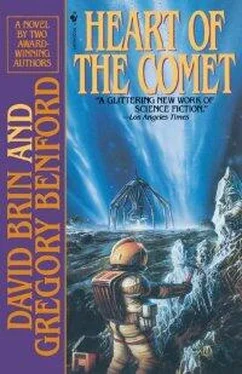 David Brin The Heart of the Comet обложка книги