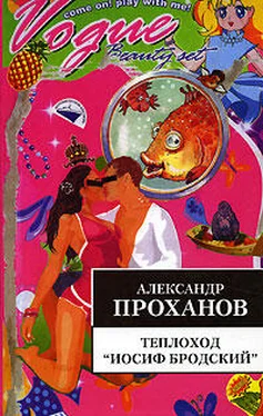 Александр Проханов Теплоход Иосиф Бродский обложка книги