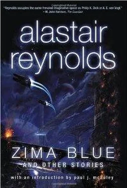 Alastair Reynolds Zima Blue обложка книги