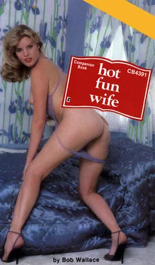 Bob Wallace Hot fun wife обложка книги