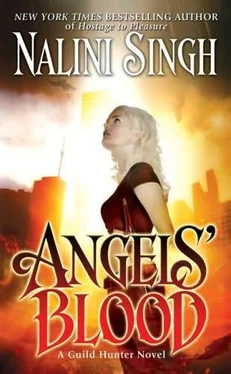 Nalini Singh Angels' Blood обложка книги