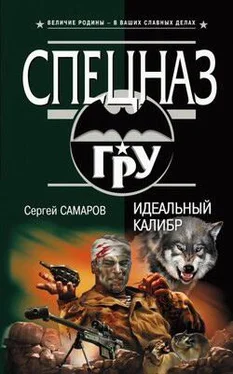 Сергей Самаров Идеальный калибр обложка книги