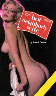 David Crane Hot neighborly wife обложка книги