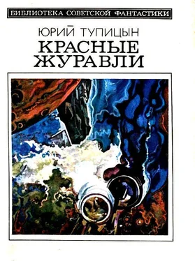 Юрий Тупицын Красные журавли. Повесть и рассказы обложка книги