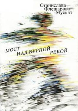 Станислава Флешарова-Мускат Мост над бурной рекой обложка книги