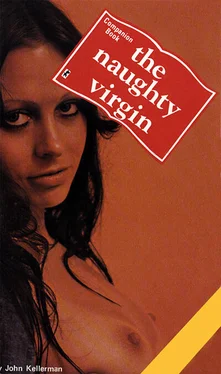 John Kellerman The naughty virgin обложка книги