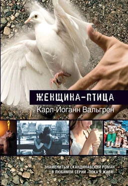 Карл-Йоганн Вальгрен Женщина-птица обложка книги