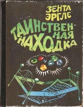 Зента Эргле Таинственная находка обложка книги