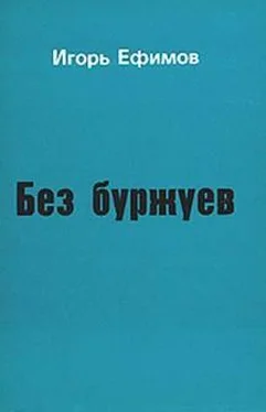 Игорь Ефимов Без буржуев обложка книги