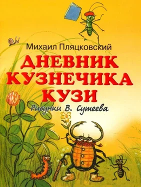 Михаил Пляцковский Дневник кузнечика Кузи обложка книги