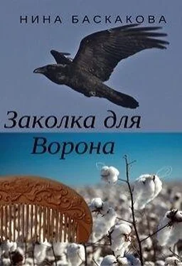 Нина Баскакова Заколка для Ворона [СИ] обложка книги