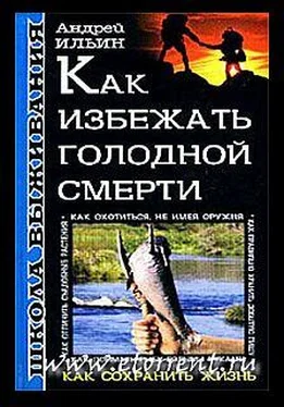 Андрей Ильин Школа выживания. Как избежать голодной смерти обложка книги