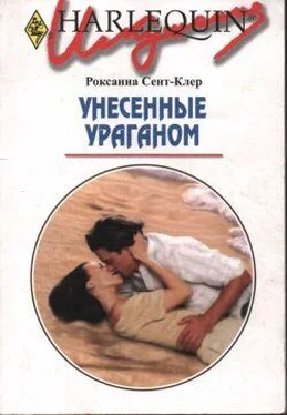 Роксана Сент-Клер Унесенные ураганом обложка книги