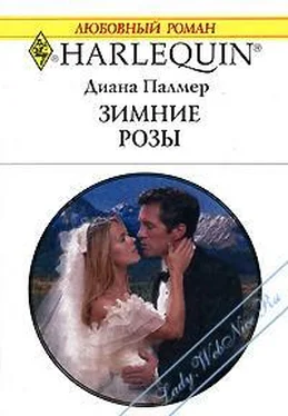 Диана Палмер Зимние розы обложка книги