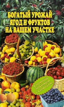 Ирина Муртазина Богатый урожай ягод и фруктов на вашем участке. В помощь любимым садоводам! обложка книги