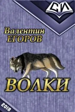 Валентин Егоров Волки обложка книги