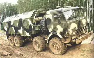 КамАЗ6350 8х8 2002 г КамАЗ4911 4х4 2003 г В нее вошли бортовые - фото 34