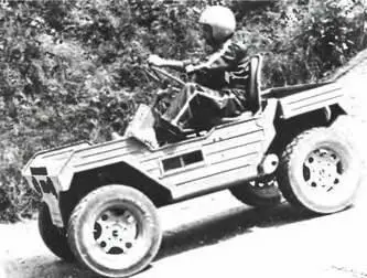Ашот Ашкелон Лизард 4x41981 г АЭмИкс АМХ ИссилеМулиноРоанн - фото 182