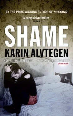 Karin Alvtegen Shame обложка книги