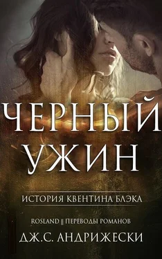 Дж Андрижески Чёрный ужин обложка книги