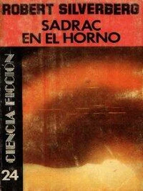 Robert Silverberg Sadrac en el horno обложка книги