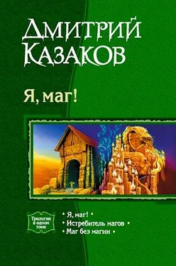 Дмитрий Казаков Истребитель магов обложка книги