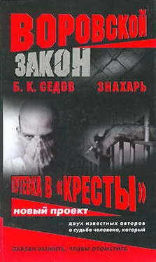 Б. Седов Знахарь. Путевка в «Кресты» обложка книги