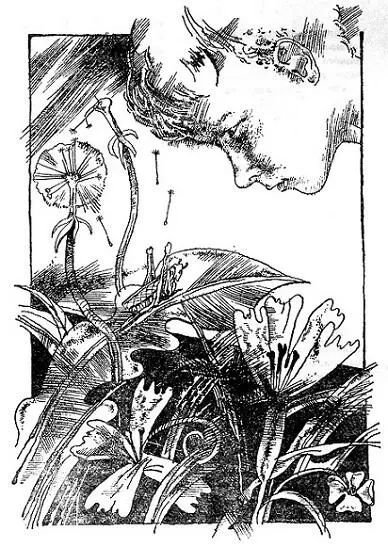 Но лично мне от нудной зубрежки спастись не удалось Каждый вечер после школы - фото 12