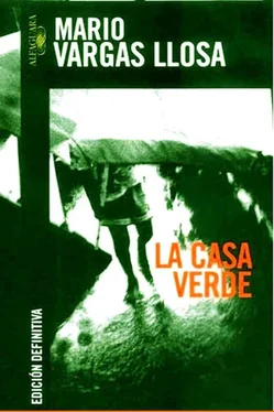 Mario Llosa La Casa Verde обложка книги